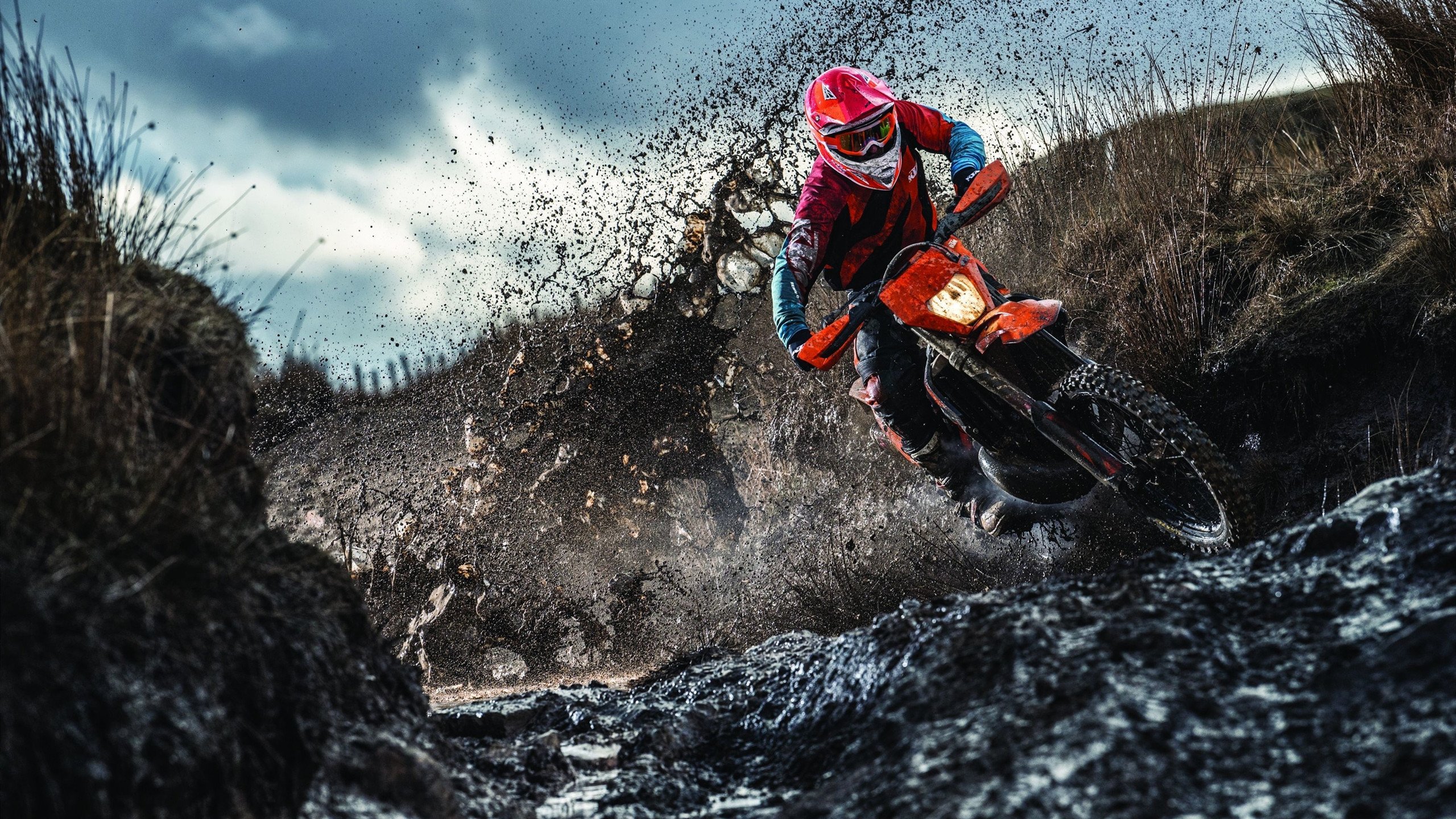 开云体育官网-戈贝尔筑起叹息之墙,国王铁蹄踏碎骑士反扑梦